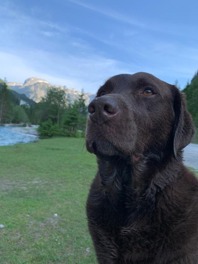 Haus Salzburgerland Hotel Altenmarkt im Pongau Bagian luar foto